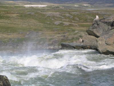 Kingaunmiut